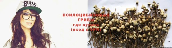 шишки Горнозаводск