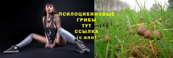 шишки Горнозаводск