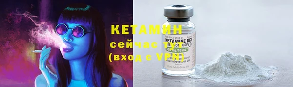шишки Горнозаводск