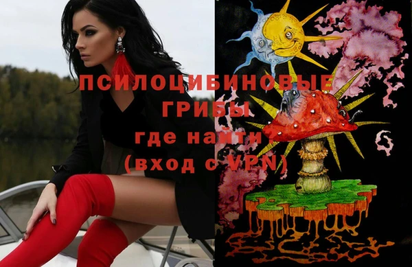 шишки Горнозаводск