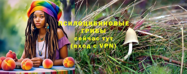 бутират Горняк