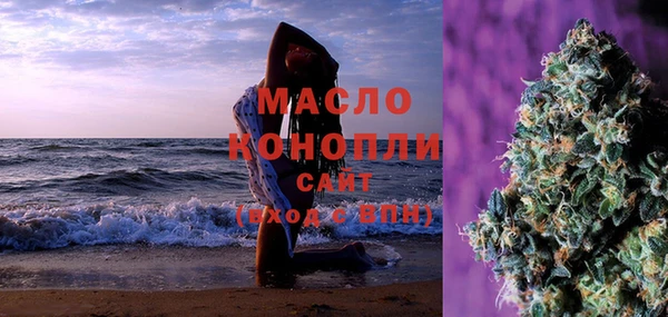 шишки Горнозаводск