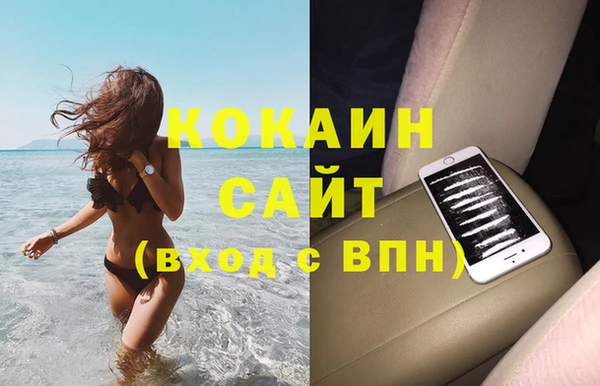 шишки Горнозаводск