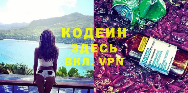 шишки Горнозаводск