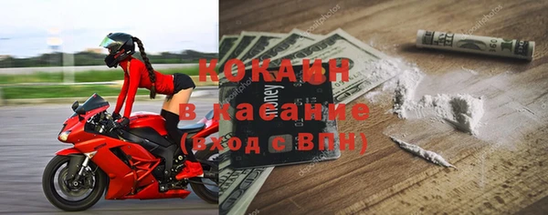 шишки Горнозаводск