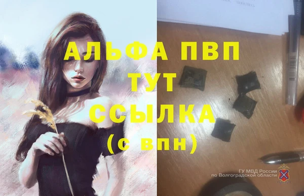 шишки Горнозаводск