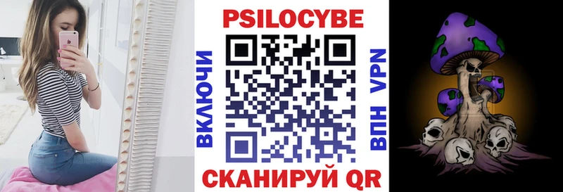 Псилоцибиновые грибы мицелий  Купить где  Краснозаводск 